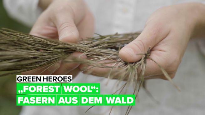 Grüne Helden – Forest Wool
