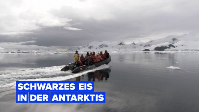 Die Antarktis färbt sich schwarz