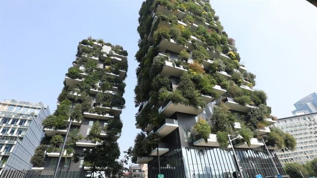 City Innovations: Der vertikale Wald