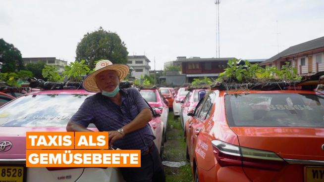 Pandemie in Thailand: Aus Taxis werden Gemüsebeete