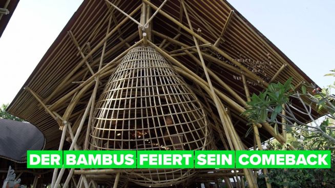 Grüne Helden: widerstandsfähige Gebäude aus Bambus