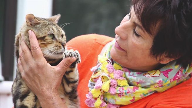 Face Your Fears: Die französische Cat-Lady
